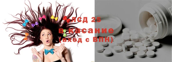 хмурый Алзамай