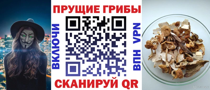 Галлюциногенные грибы мухоморы  что такое наркотик  Миллерово 